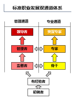 我們標(biāo)準(zhǔn)職業(yè)發(fā)展雙通道體系