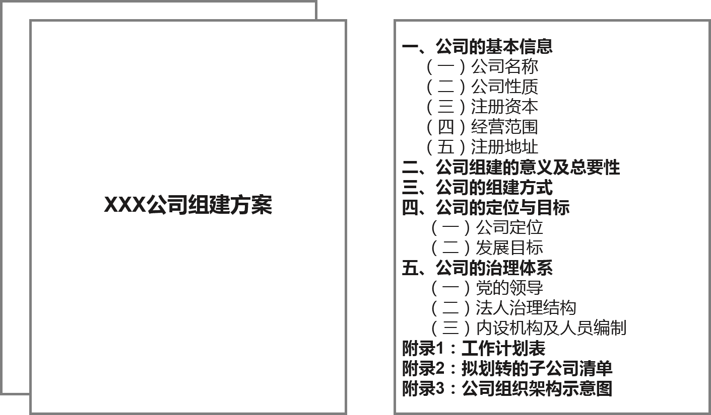 某電網(wǎng)公司下屬企業(yè)改制組建方案