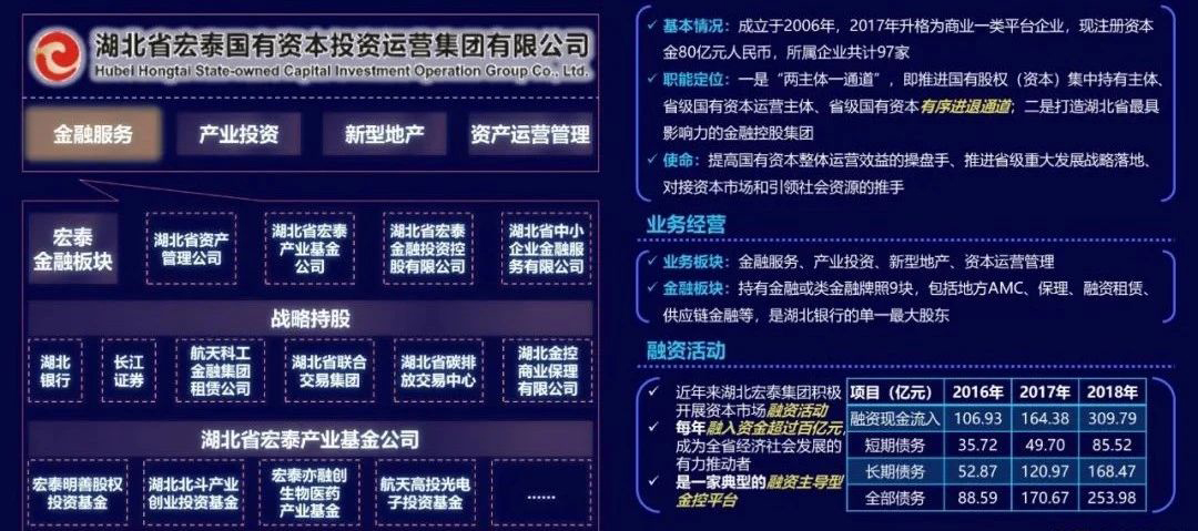 湖北宏泰是湖北省內(nèi)最具影響力的金融控股集團(tuán)，積極開展市場(chǎng)融資活動(dòng)，每年融入資金超過百億元，是湖北省經(jīng)濟(jì)社會(huì)發(fā)展的有力推動(dòng)者。