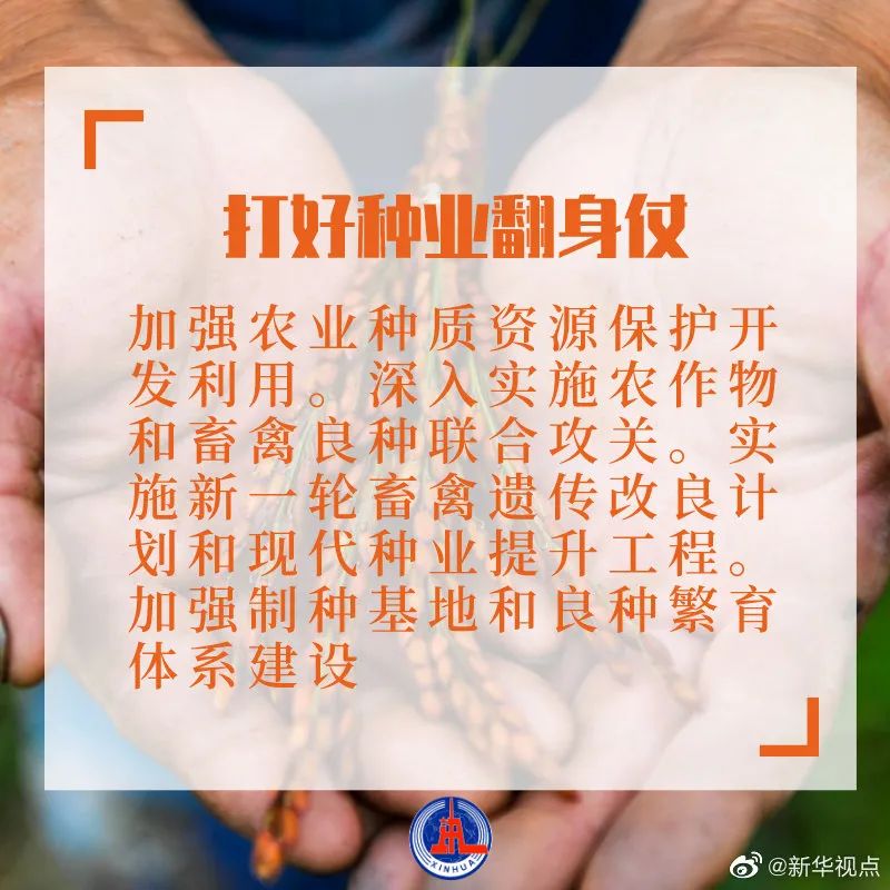 打好種業(yè)翻身仗