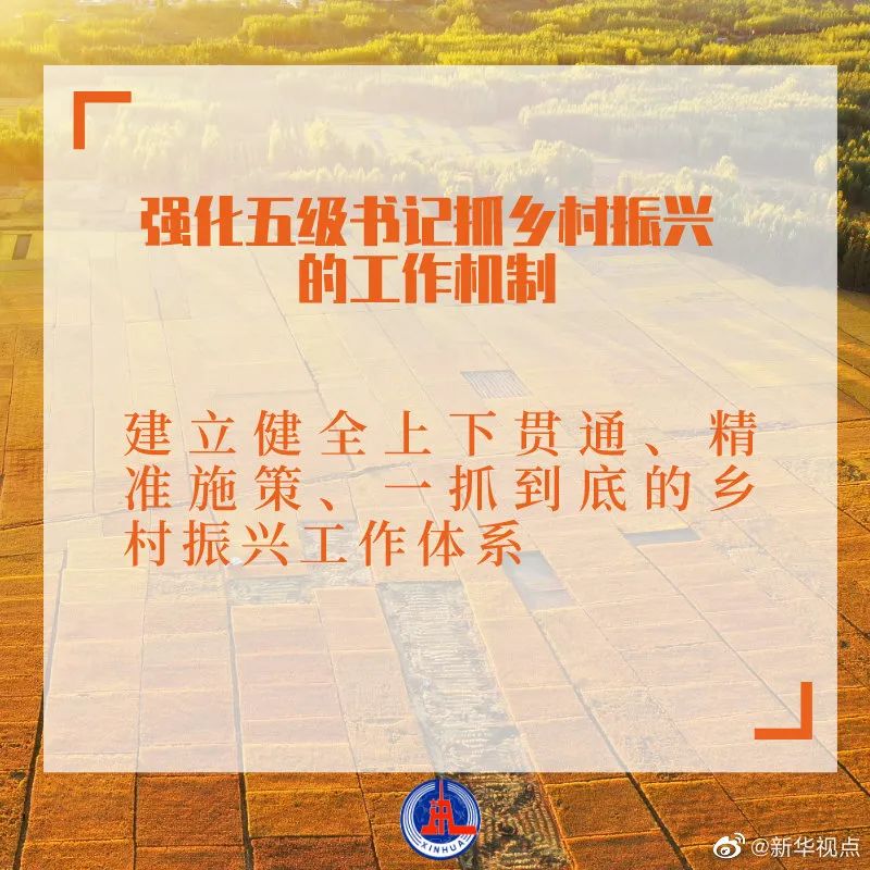 強(qiáng)化五級(jí)書記抓鄉(xiāng)村振興的工作機(jī)制